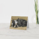 Search for boston terrier cards Canine