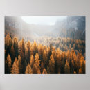 Search for top view posters Mountain