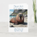 Search for walrus cards Ocean