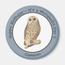 Search for owl magnets Vintage