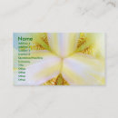 Search for zoom business cards Macro