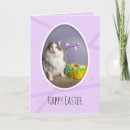 Search for cat basket cards Egg