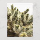 Search for spines postcards Desert