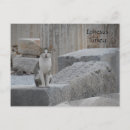Search for ephesus postcards Ruins