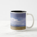 Search for crossing mugs Landscape