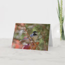 Search for backyard birds cards Nature