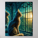 Search for kitten watcher Kittens