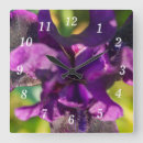 Search for iris clocks Floral