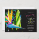 Search for paradise invitations Black