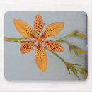 Search for flower spot mouse mats Orange