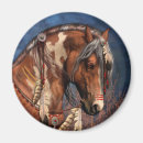 Search for ponies magnets Wild
