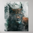 Search for lynx posters Cat
