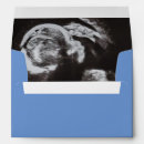 Search for photo envelopes Blue