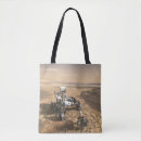 Search for rover bags Surface