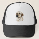 Search for labrador hats Animal
