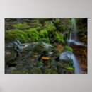 Search for glen posters Green