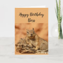 Search for for boss funny birthday cards Squirrel
