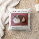 Search for in loving memory cushions Sympathy