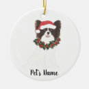 Search for papillon christmas tree decorations Santa