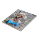 Search for dog bone tiles Canine