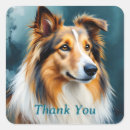 Search for sable stickers Sheltie