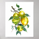 Search for lemon tree posters Green