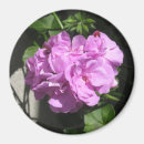 Search for large decorative magnets Flower
