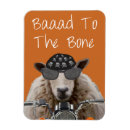 Search for bones magnets Bad to the bone