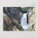 Search for lower fall postcards Yellowstone