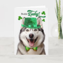 Search for malamute Mals