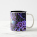 Search for one fish two fish mugs Nature