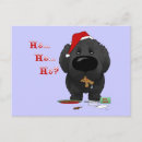Search for newfoundland dog christmas cards Pets