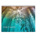 Search for kelp Ocean