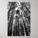 Search for mindful photography Black and white