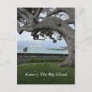 Search for big island postcards Kona