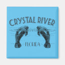 Search for crystal magnets Florida