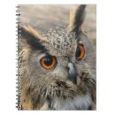 Search for owl photography Animal