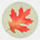 Search for oak leaf stickers Thanksgiving