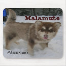 Search for malamute mouse mats Sled