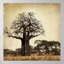 Search for baobab tree posters Trees