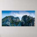 Search for mountain forest posters Peak