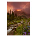 Search for enchanted meadow posters Nature