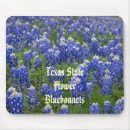 Search for bluebonnet electronics Texas