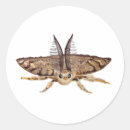 Search for moth round stickers Butterflies