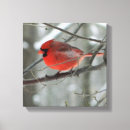 Search for cardinal painting canvas prints Northern