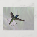Search for jacobin postcards Nature