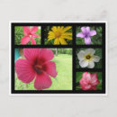 Search for lila postcards Red