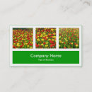 Search for green horizontal photocards Modern