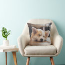 Search for sleepy animal cushions Cute