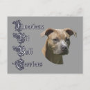 Search for apbt postcards Pitbull